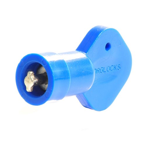 Borg Part 5000 Series Easicode Pro Change Key - BL5000ECPCK